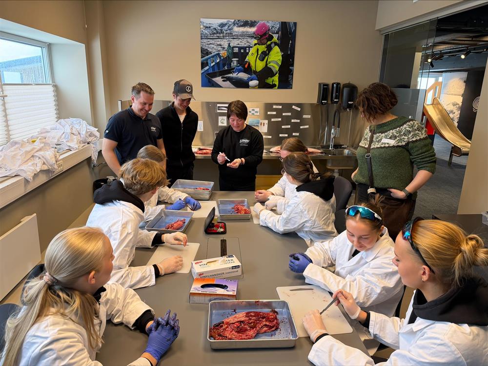 En gruppe elever i hvite frakker sitter og står rundt et bord med fiskedeler og utstyr, mens ansatte fra Barents Salmon Centre veileder underveis i arbeidet. - Klikk for stort bilde